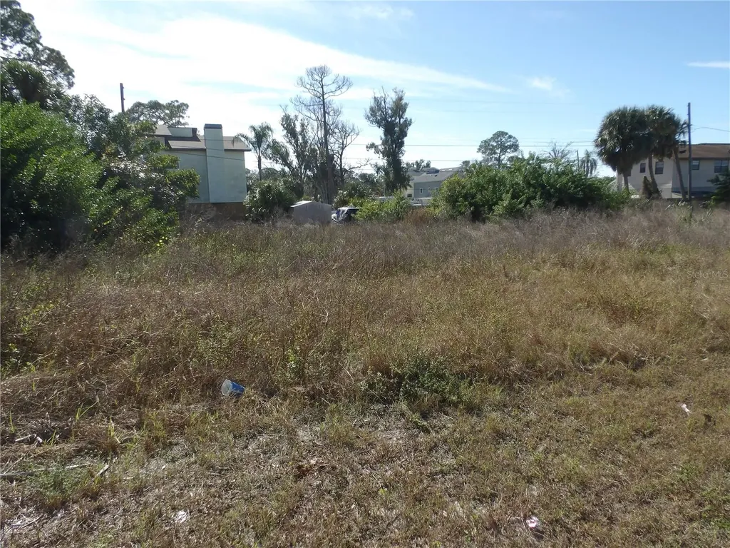 523 Doric Court Tarpon Springs FL 34689
