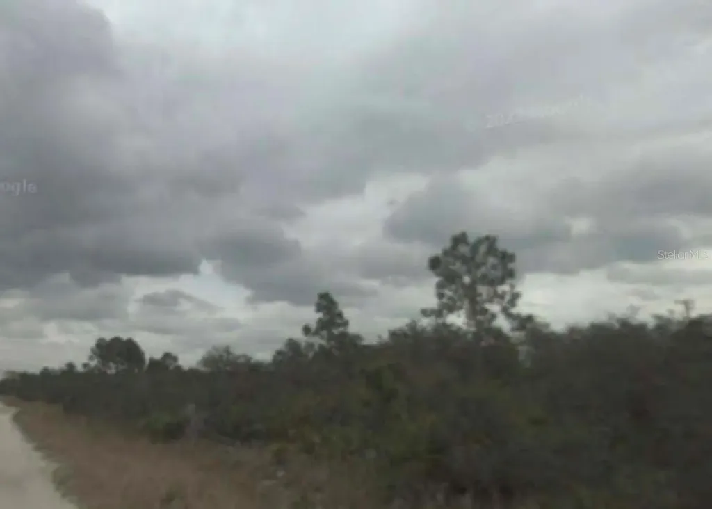 1730 Barn Owl Street Sebring FL 33870