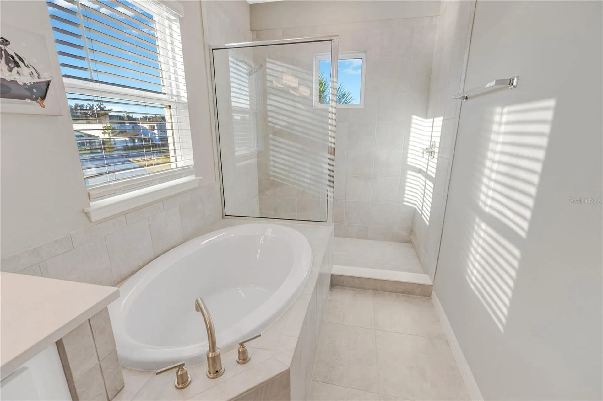 10551 Tranquil Meadow Loop Riverview FL 33569