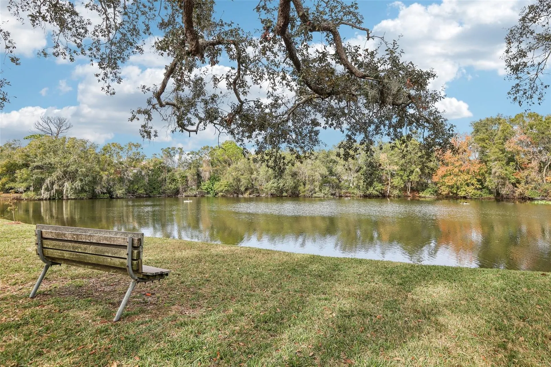 456 Thanington Close Palm Harbor FL 34683