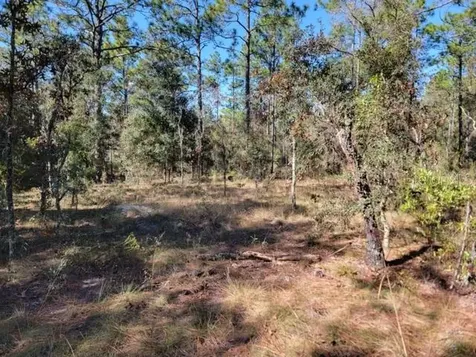 Xxx SE 142nd Court Morriston FL 32668