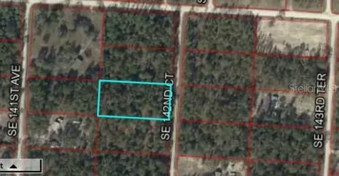 Xxx SE 142nd Court Morriston FL 32668