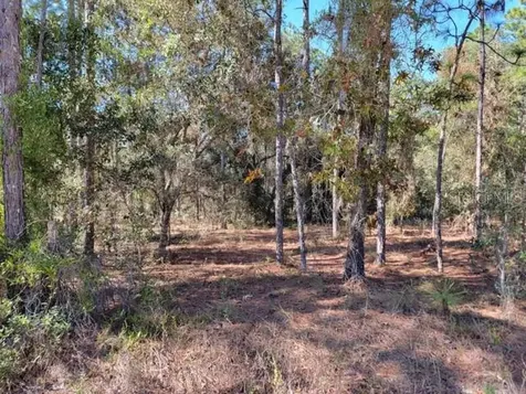 Xxx SE 142nd Court Morriston FL 32668