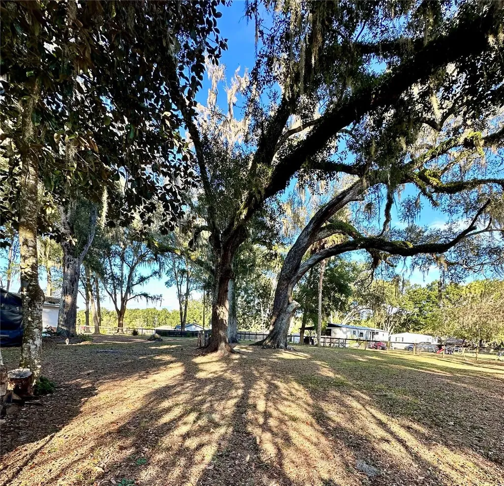 13565 NE 38th Avenue Anthony FL 32617
