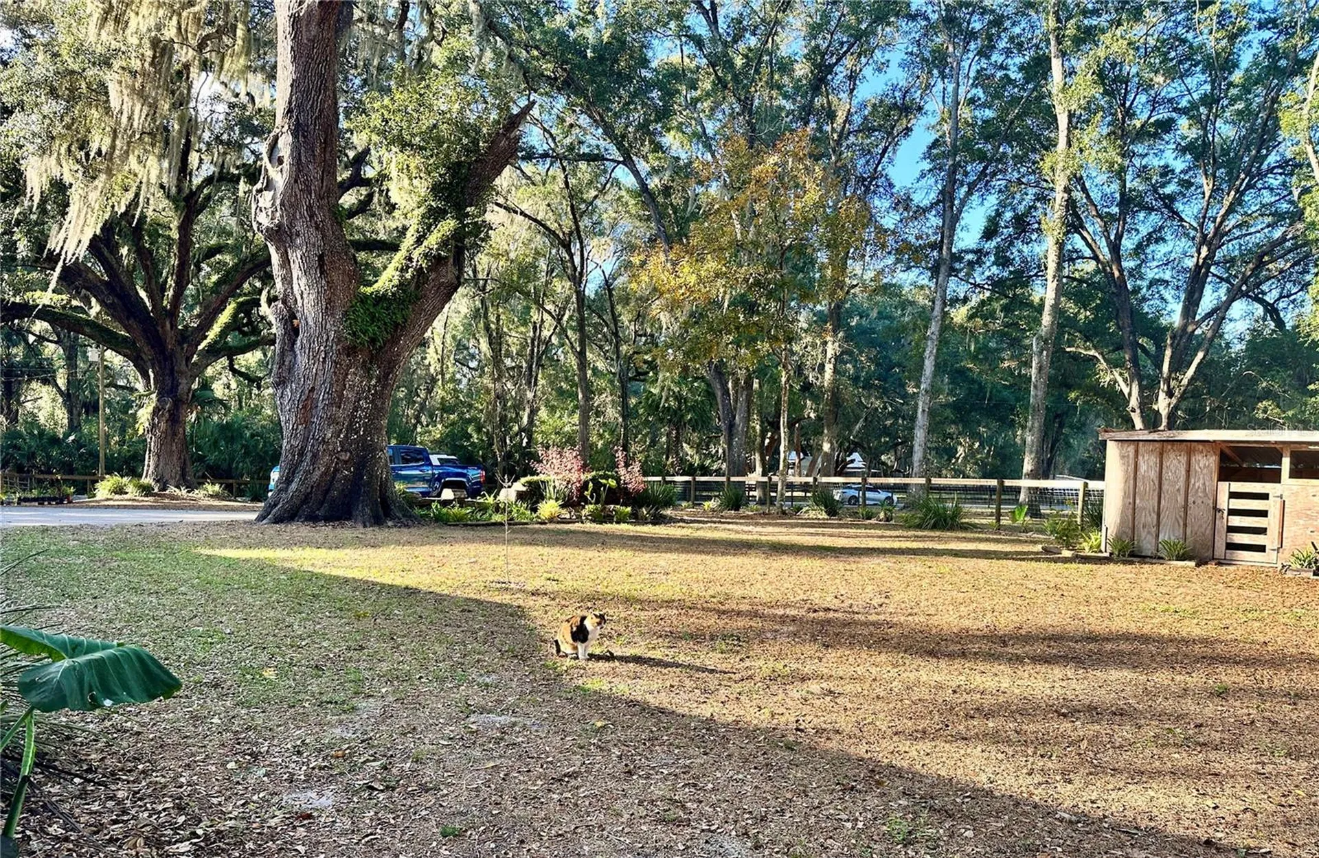 13565 NE 38th Avenue Anthony FL 32617