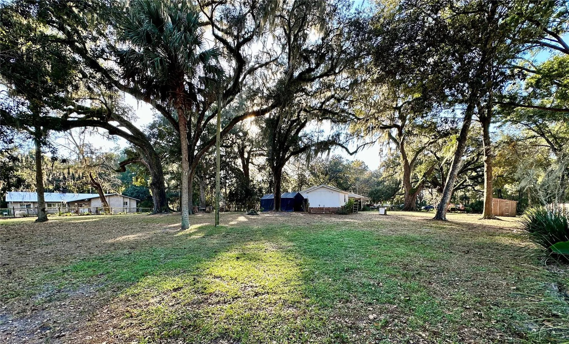 13565 NE 38th Avenue Anthony FL 32617