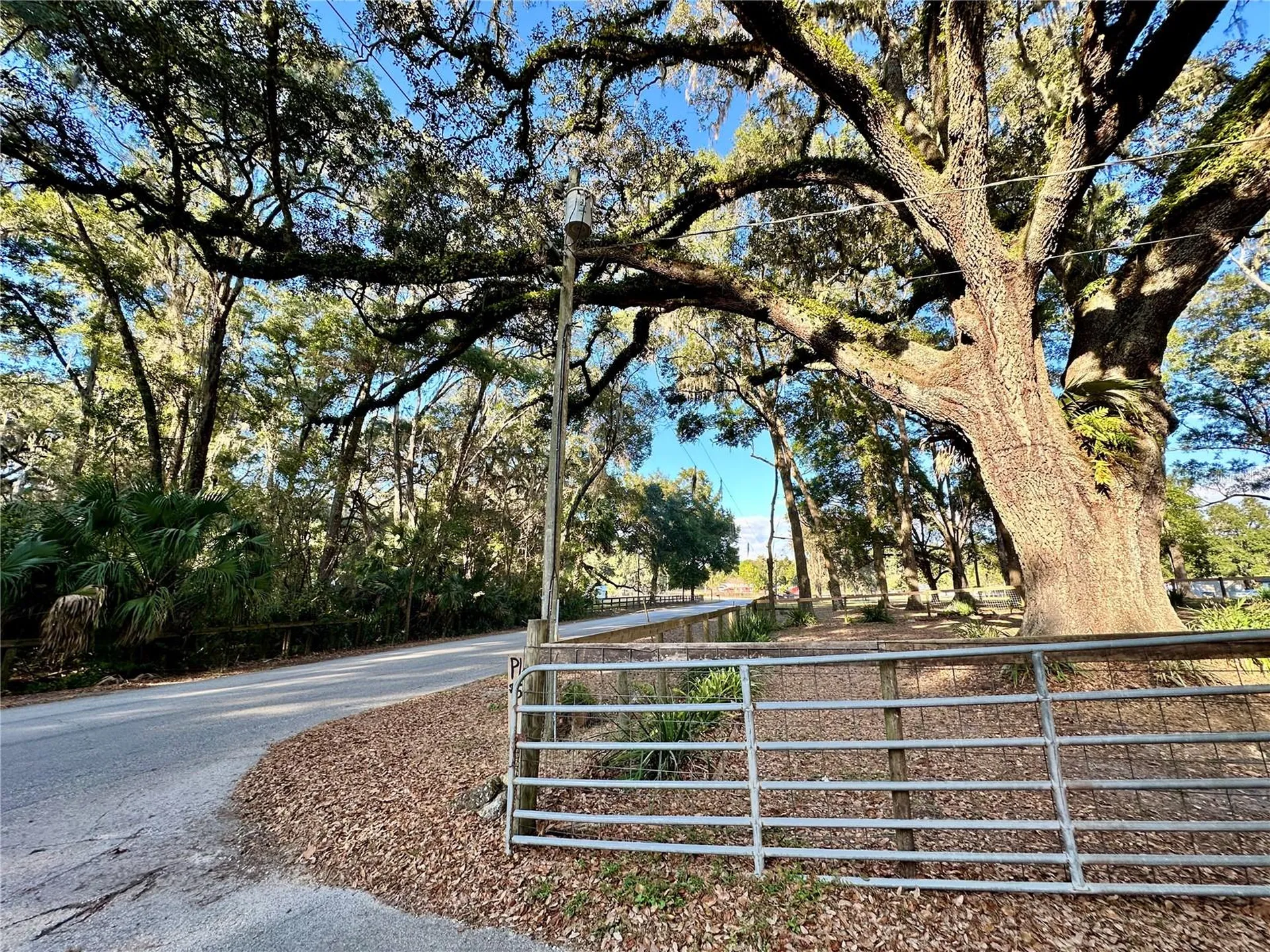 13565 NE 38th Avenue Anthony FL 32617