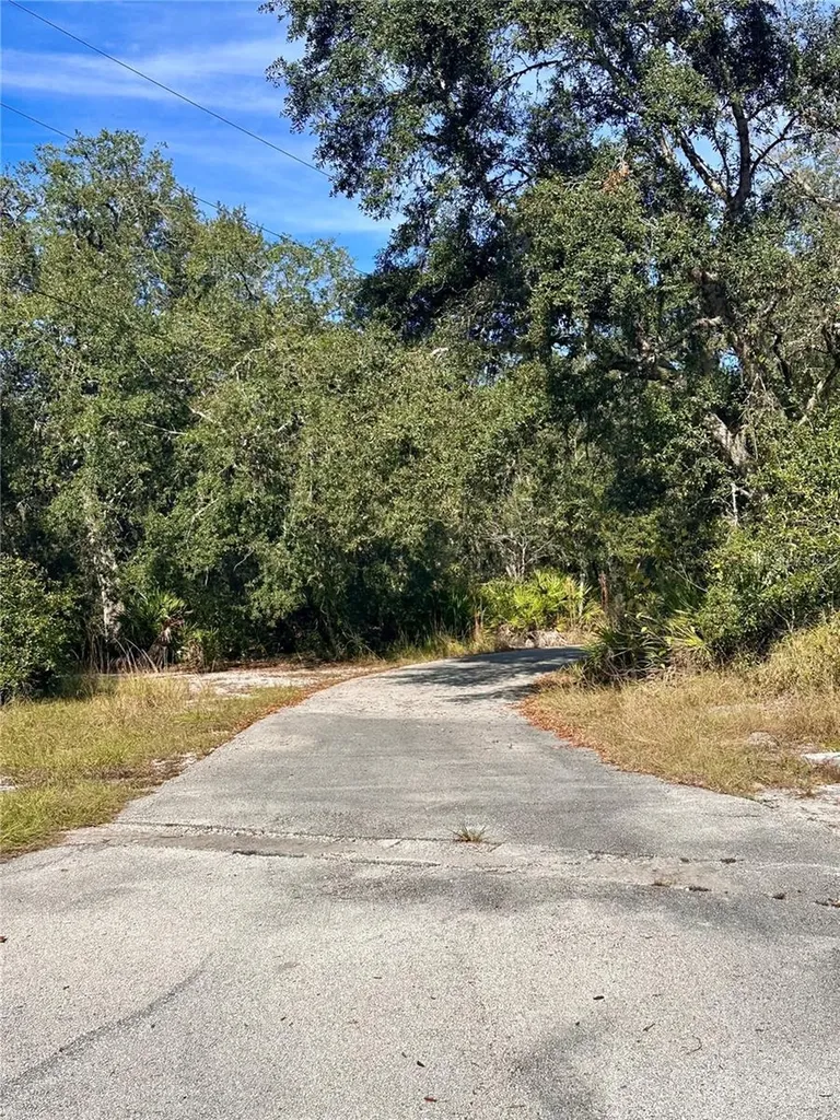 4125 Tiger Creek Trail Lake Wales FL 33898