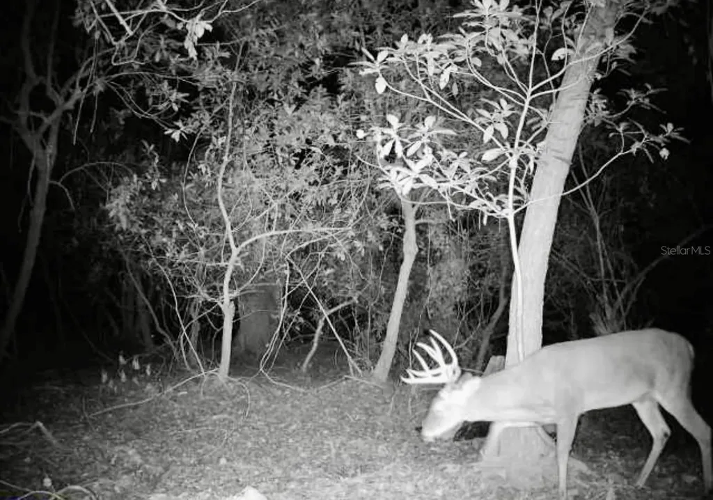 4125 Tiger Creek Trail Lake Wales FL 33898