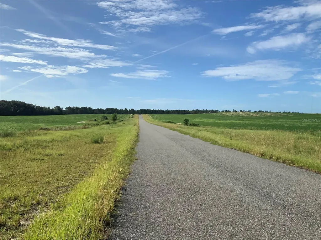 SE 39th. Lot 33 Street Morriston FL 32668