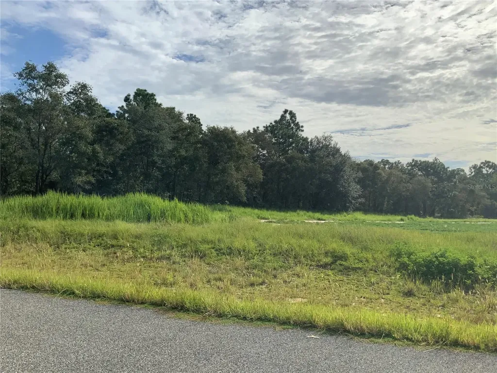 SE 39th. Lot 33 Street Morriston FL 32668