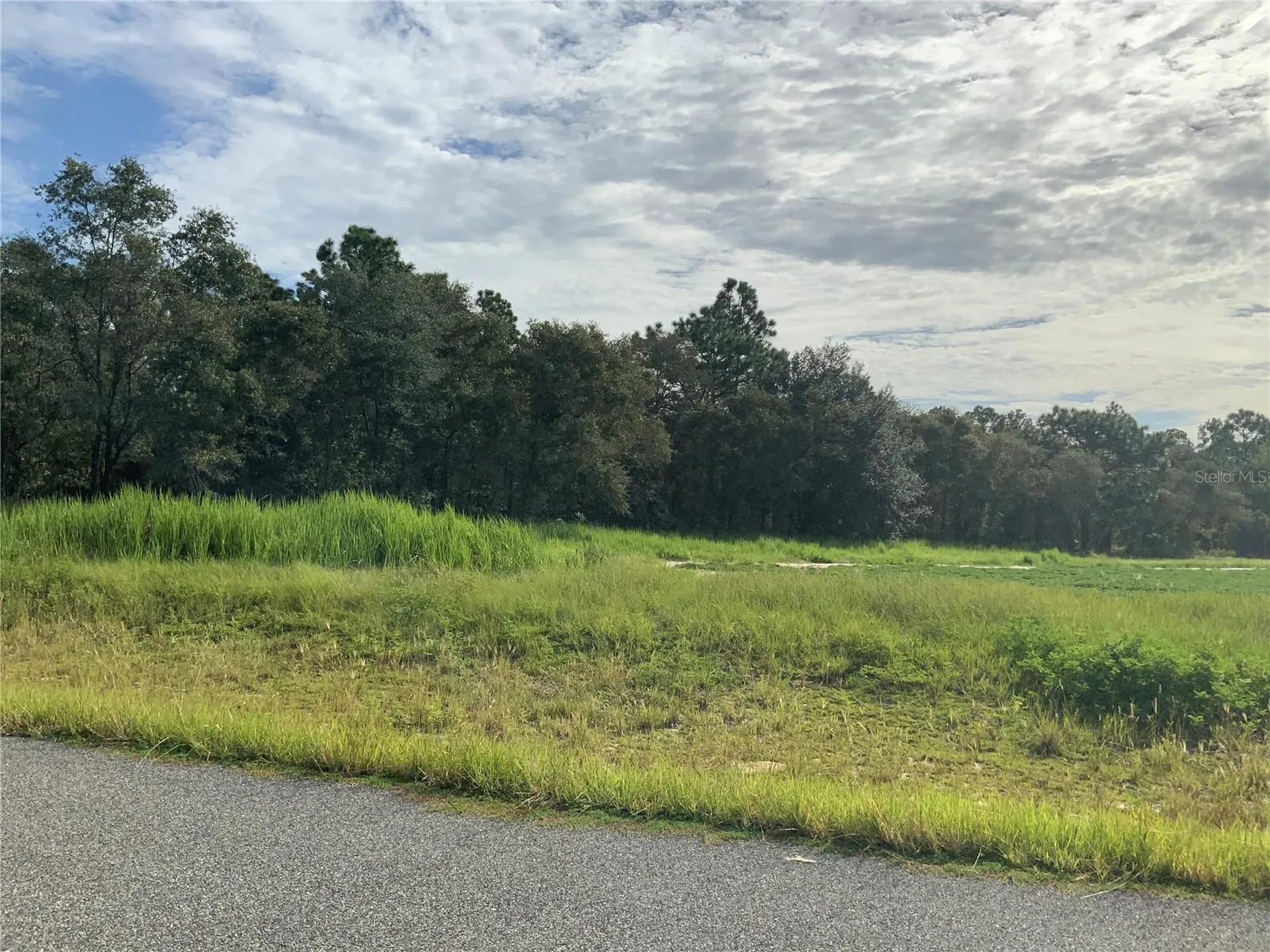SE 39th. Lot 33 Street Morriston FL 32668