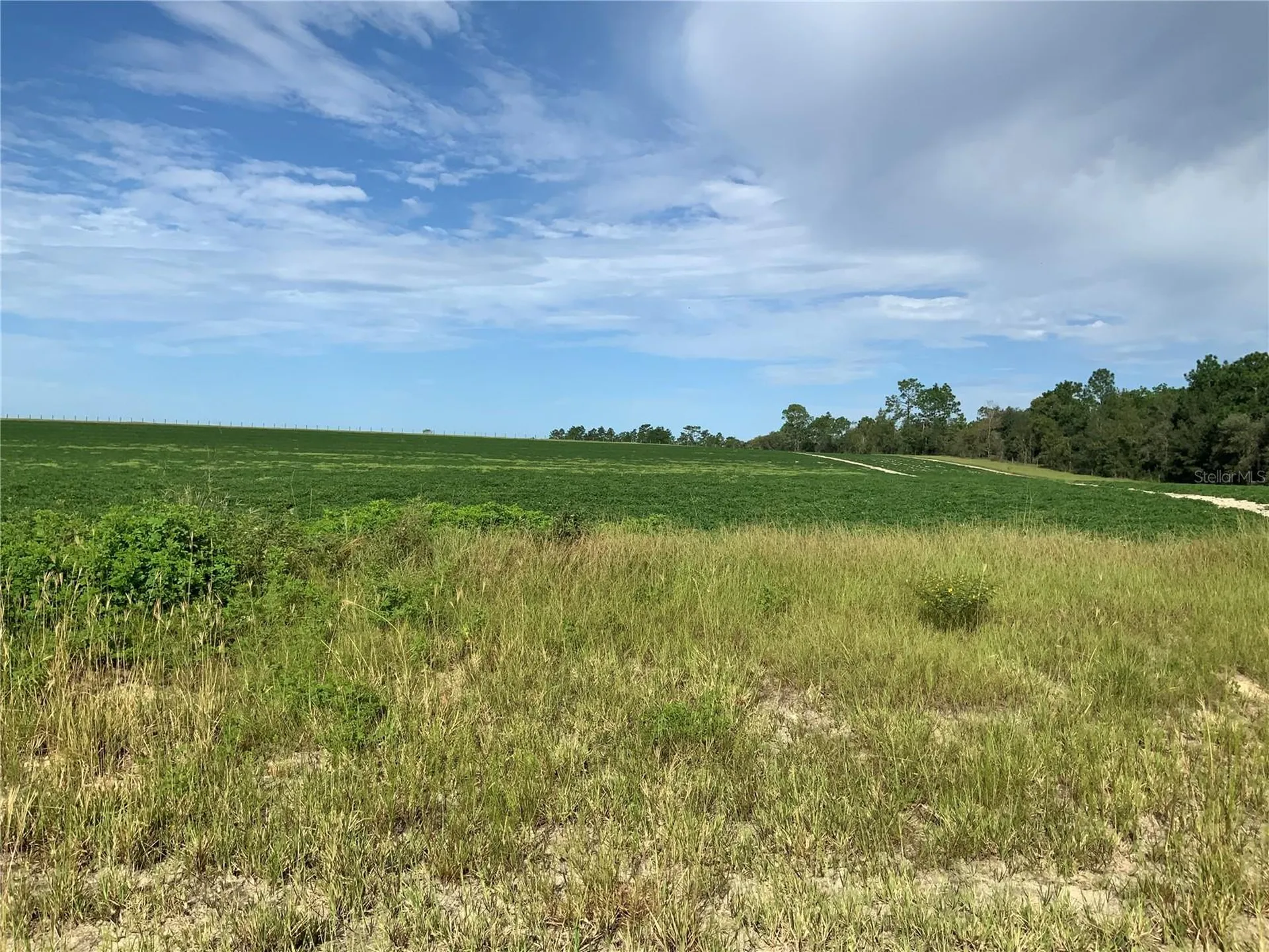 SE 39th. Lot 33 Street Morriston FL 32668