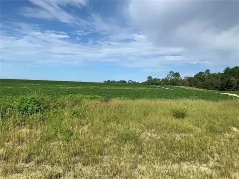 SE 39th. Lot 33 Street Morriston FL 32668