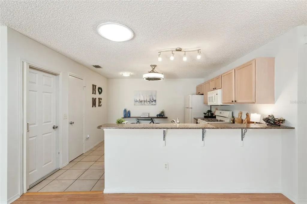 3468 Roanoke Street The Villages FL 32162