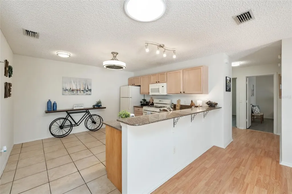 3468 Roanoke Street The Villages FL 32162