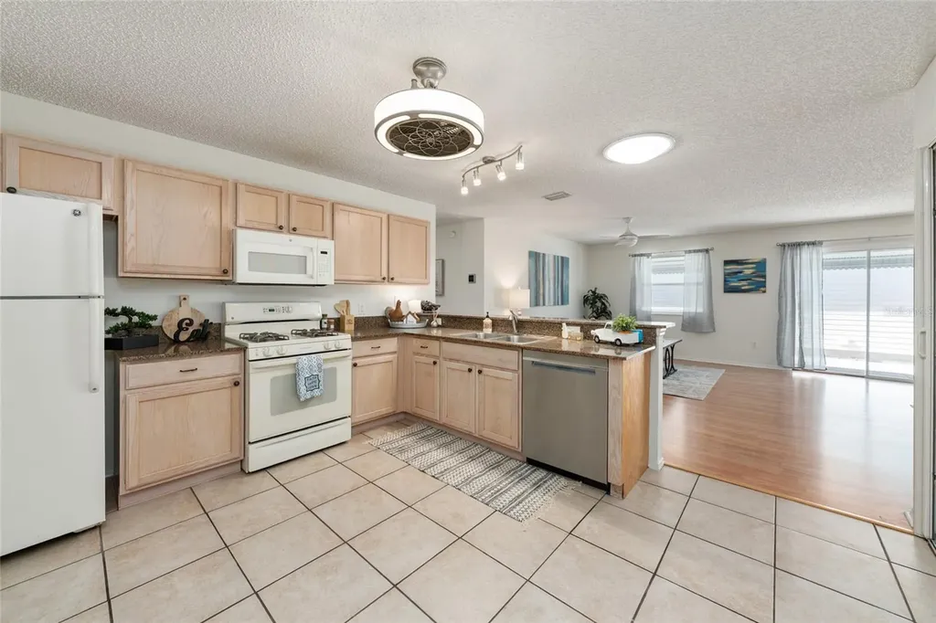 3468 Roanoke Street The Villages FL 32162