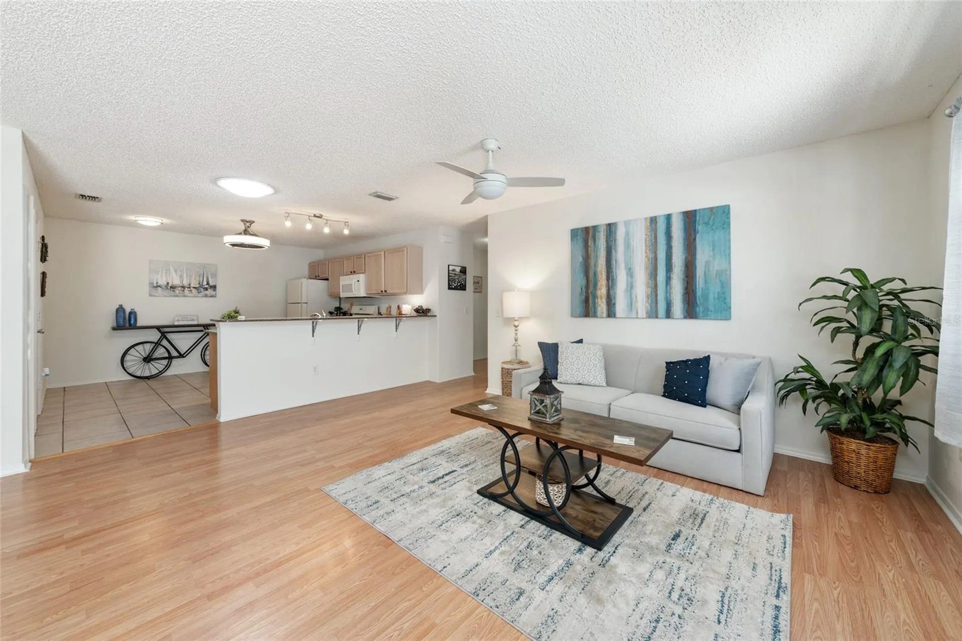 3468 Roanoke Street The Villages FL 32162