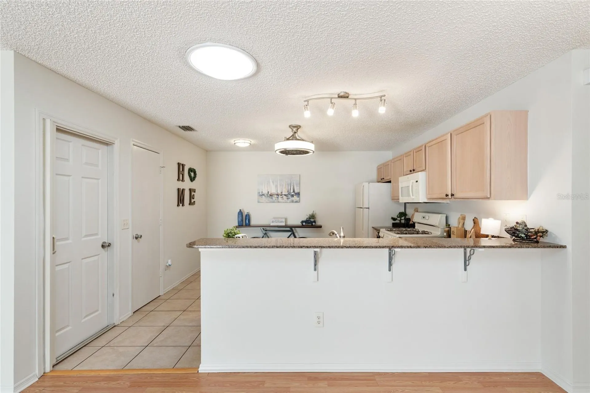 3468 Roanoke Street The Villages FL 32162