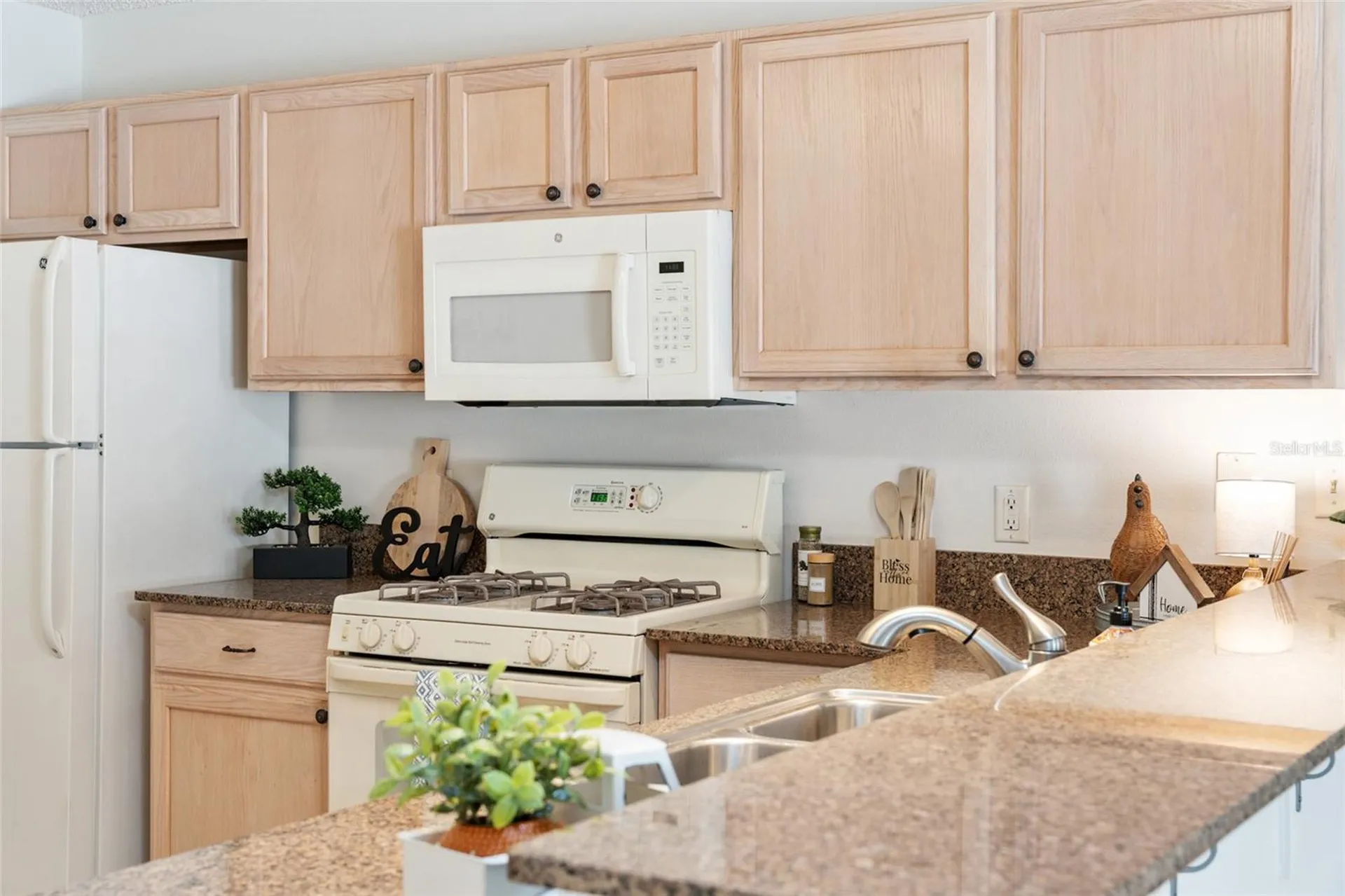 3468 Roanoke Street The Villages FL 32162