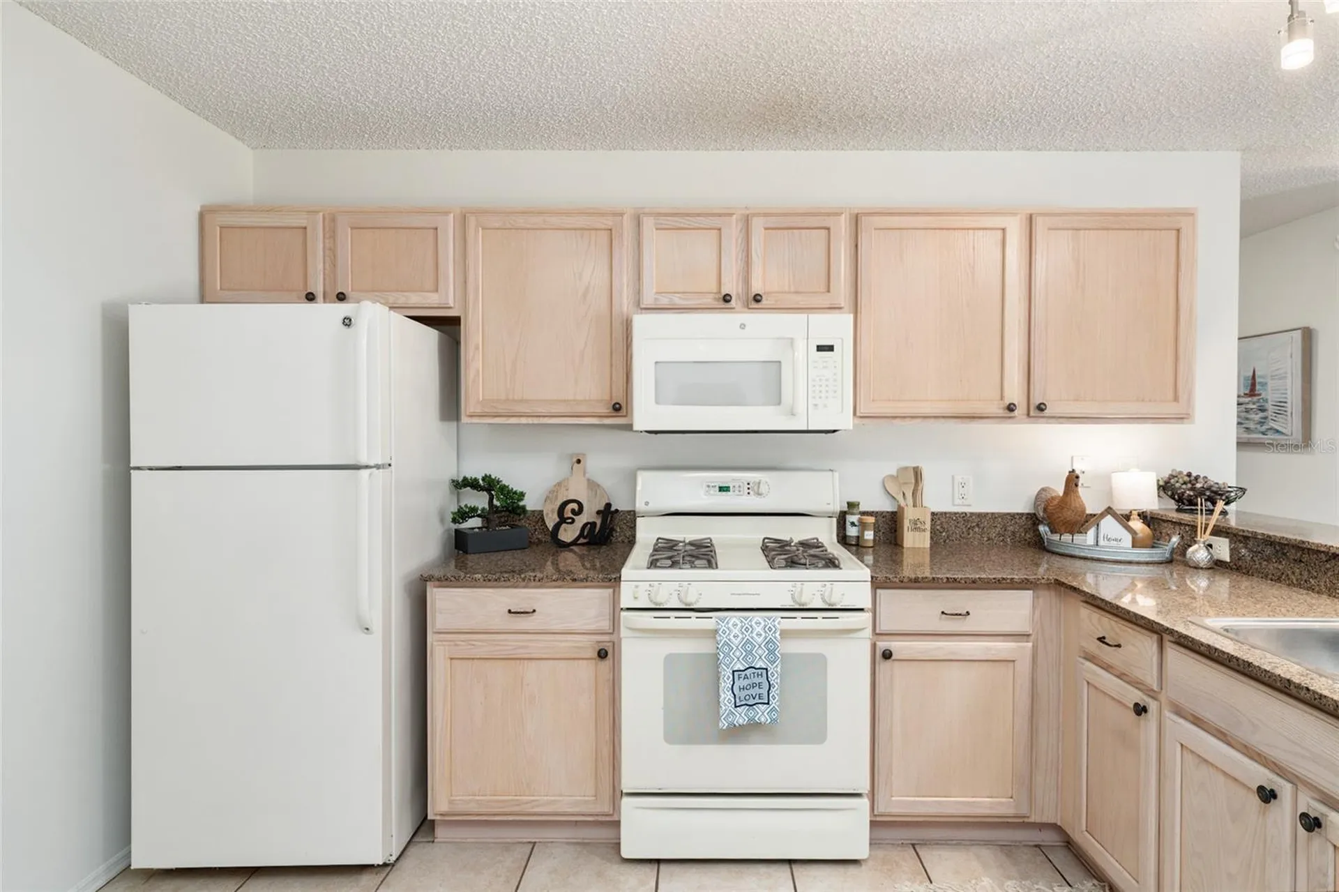 3468 Roanoke Street The Villages FL 32162