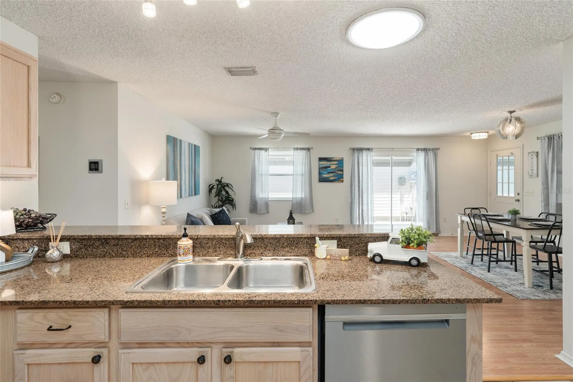 3468 Roanoke Street The Villages FL 32162