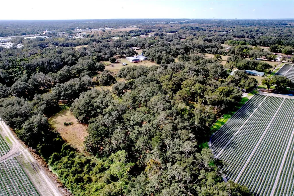 9471 Mcintosh Road Dover FL 33527
