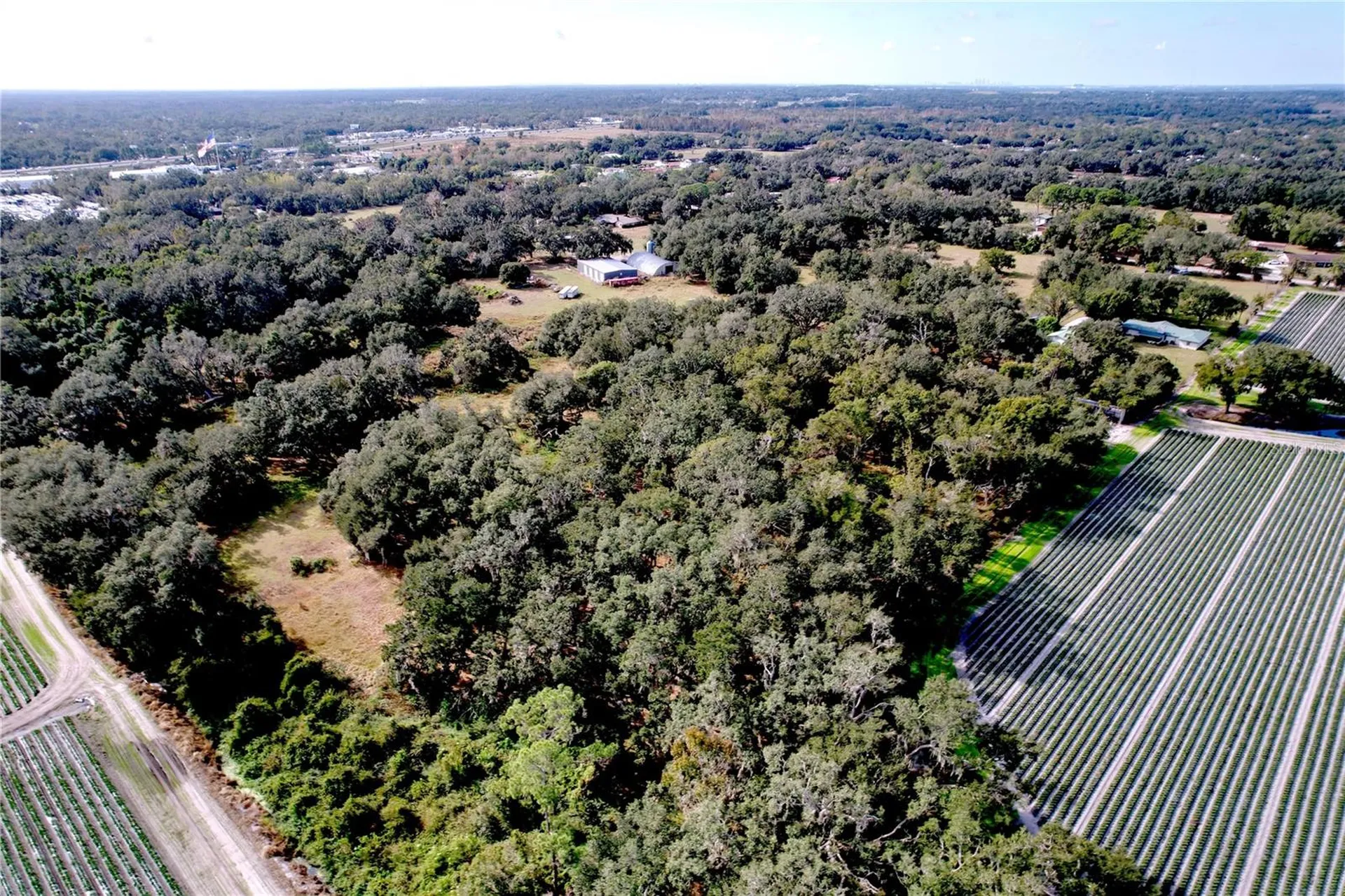 9471 Mcintosh Road Dover FL 33527