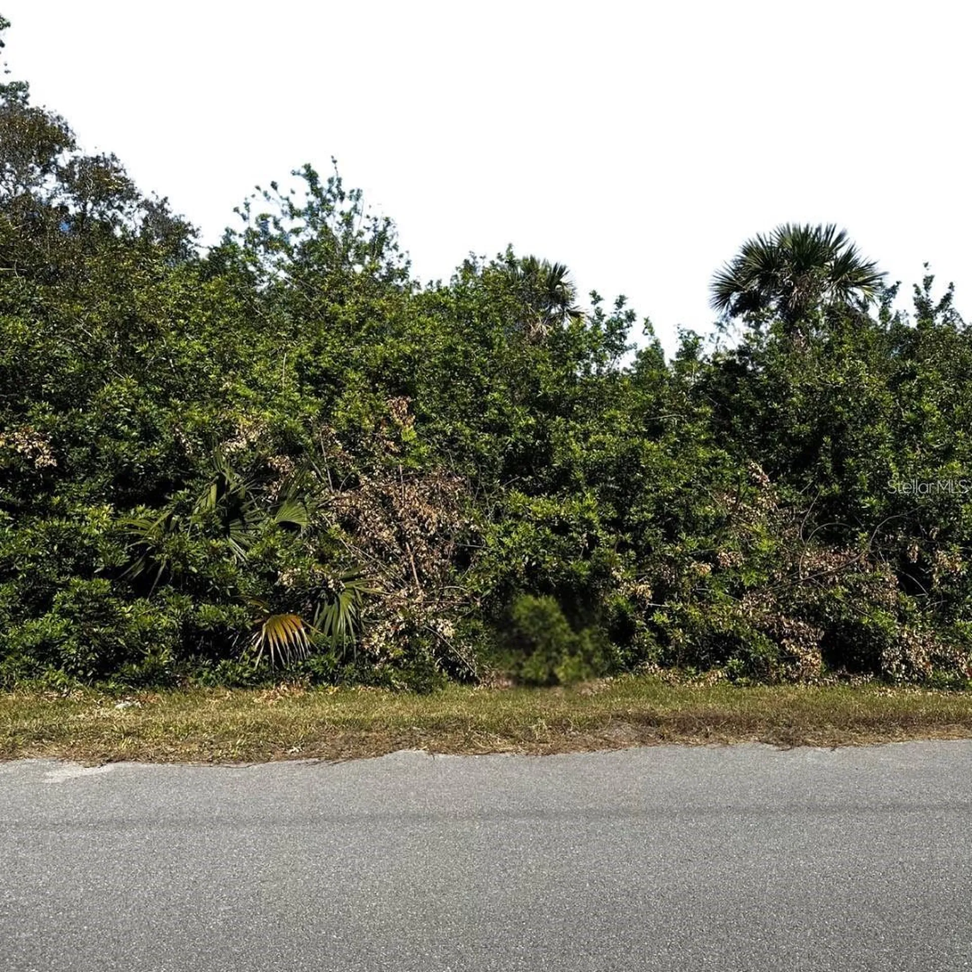 38TH Avenue SE Naples FL 34117