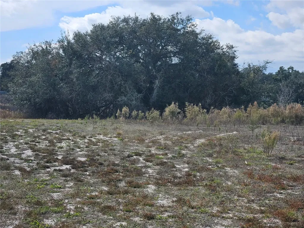 34794 Orchid Parkway Dade City FL 33523