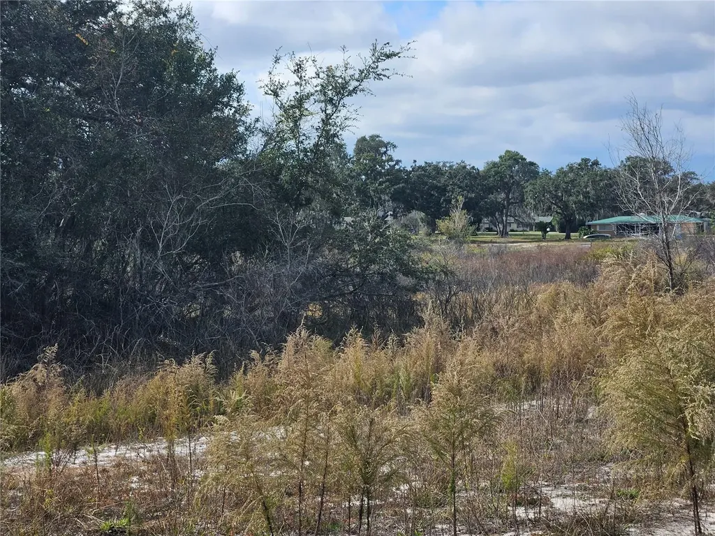 34794 Orchid Parkway Dade City FL 33523