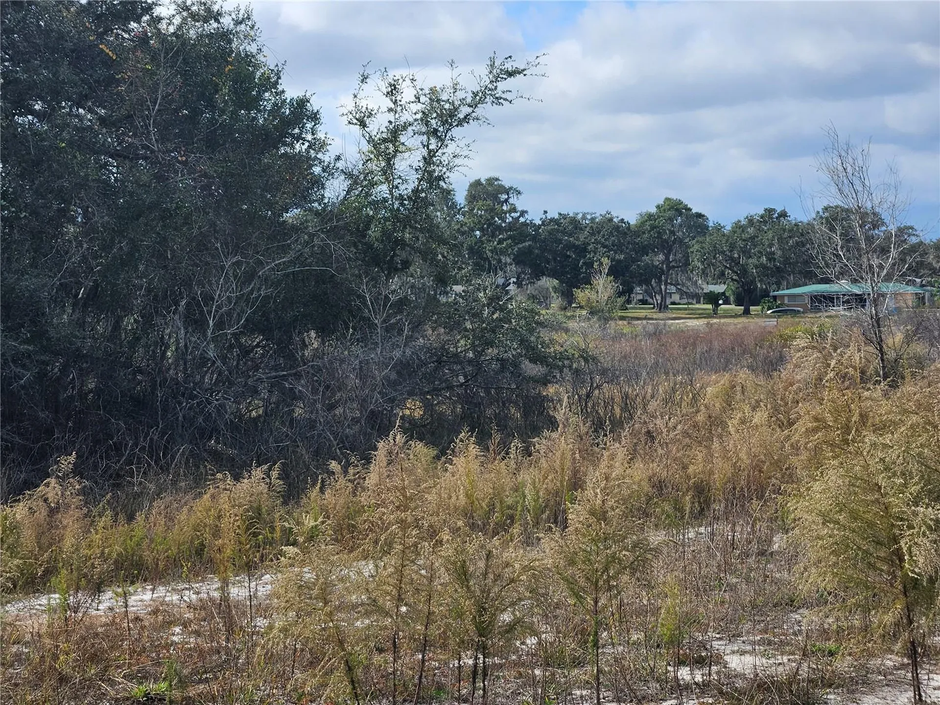 34794 Orchid Parkway Dade City FL 33523