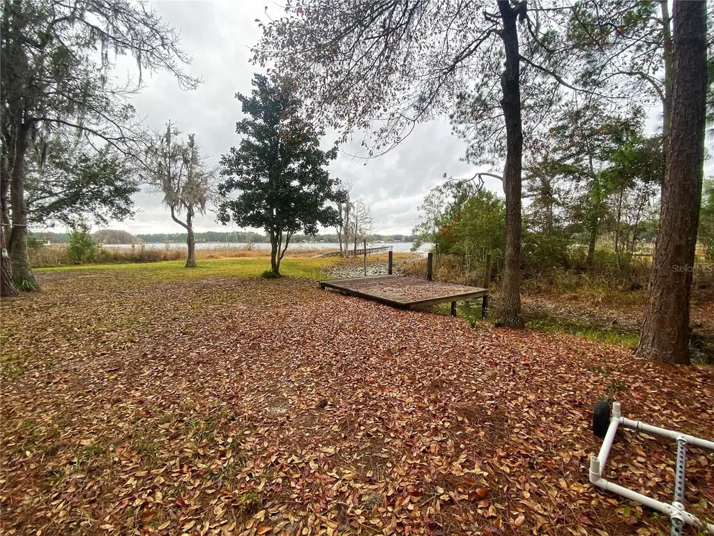 23330 NE 117th Terrace Fort Mc Coy FL 32134
