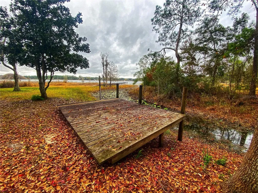 23330 NE 117th Terrace Fort Mc Coy FL 32134