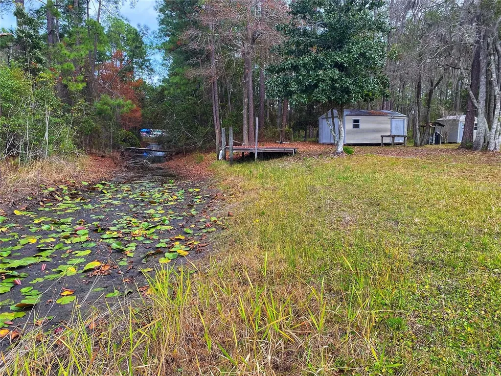23330 NE 117th Terrace Fort Mc Coy FL 32134