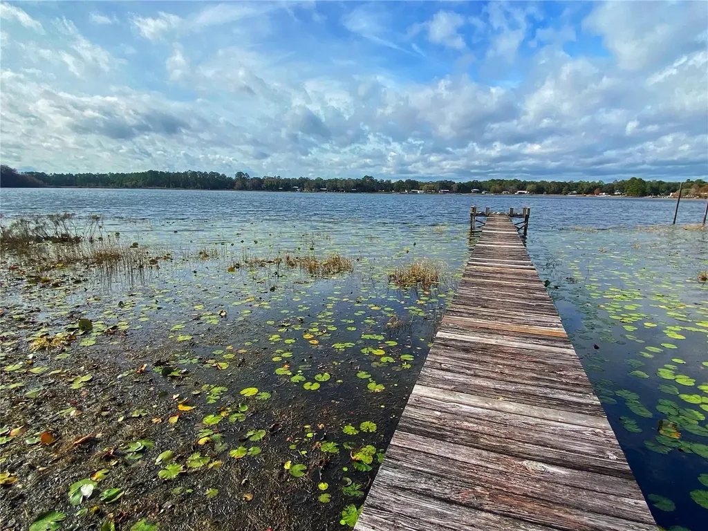 23330 NE 117th Terrace Fort Mc Coy FL 32134