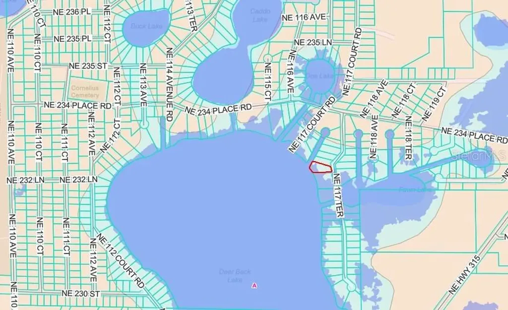 23330 NE 117th Terrace Fort Mc Coy FL 32134