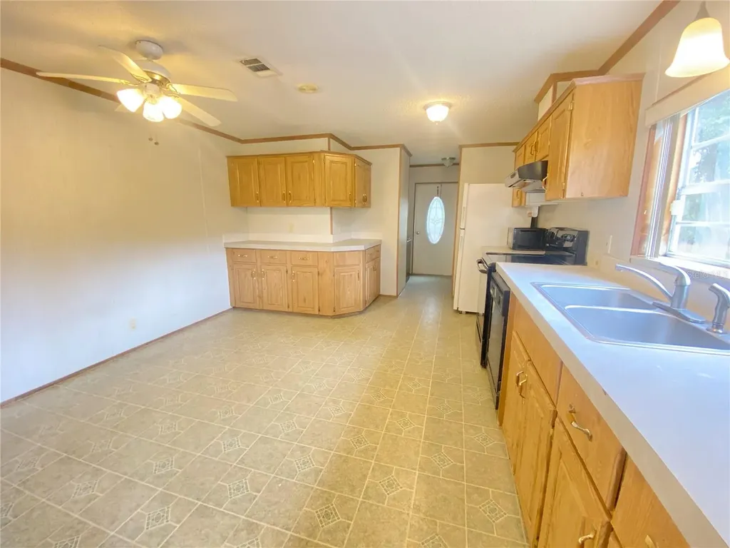 23330 NE 117th Terrace Fort Mc Coy FL 32134