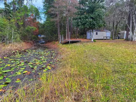 23330 NE 117th Terrace Fort Mc Coy FL 32134