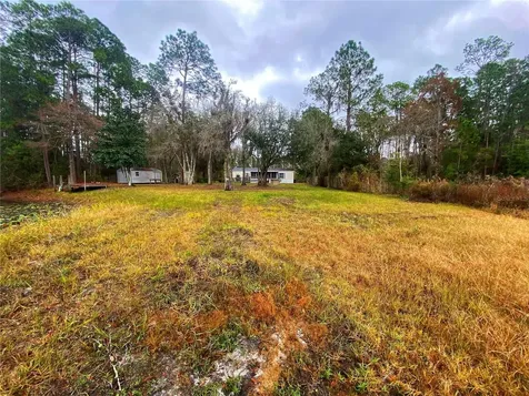 23330 NE 117th Terrace Fort Mc Coy FL 32134