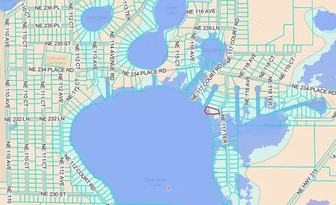 23330 NE 117th Terrace Fort Mc Coy FL 32134