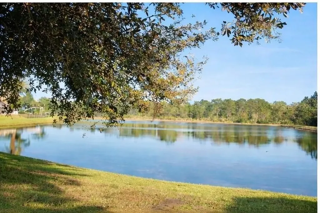 1513 Balsam Willow Trail Orlando FL 32825