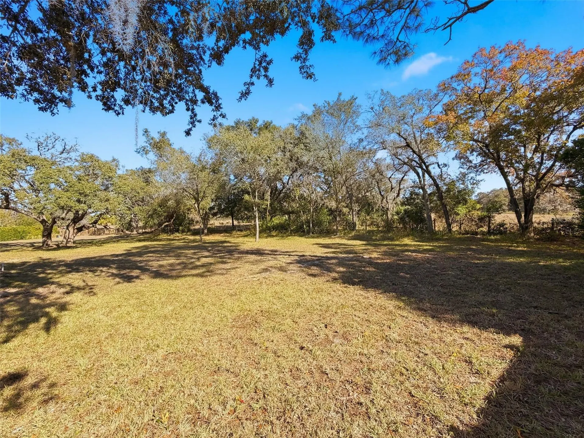 9434 Holnwon Court Hudson FL 34667