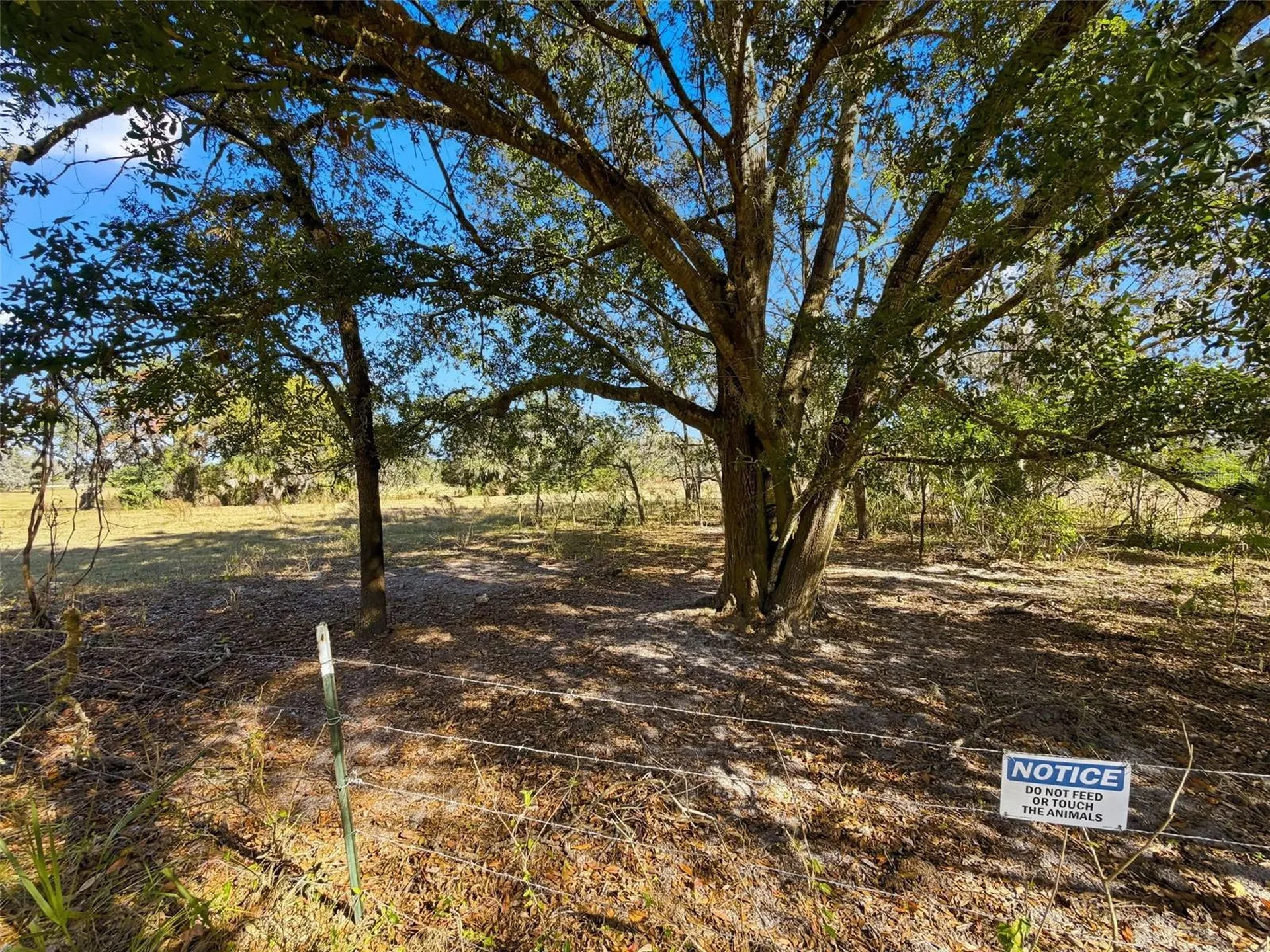 9434 Holnwon Court Hudson FL 34667