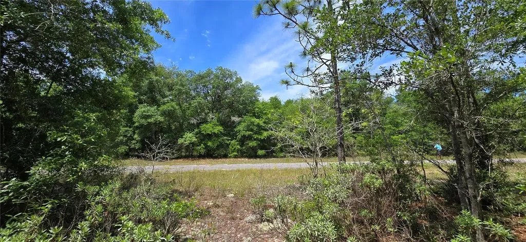 Lot 18 Unit 1 Blk 6 Fusion Circle Chipley FL 32428