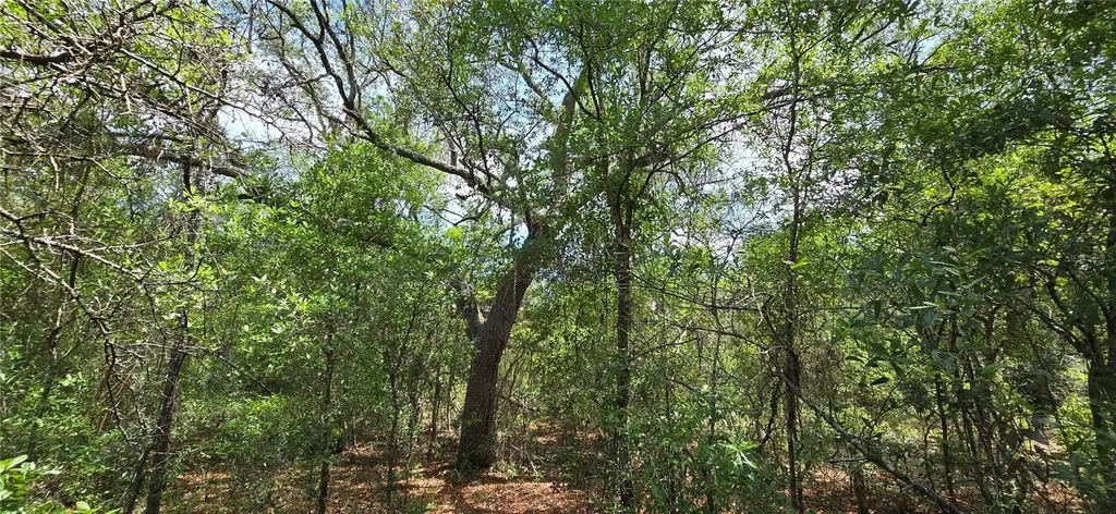 Lot 18 Unit 1 Blk 6 Fusion Circle Chipley FL 32428