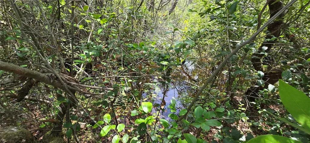 Lot 18 Unit 1 Blk 6 Fusion Circle Chipley FL 32428
