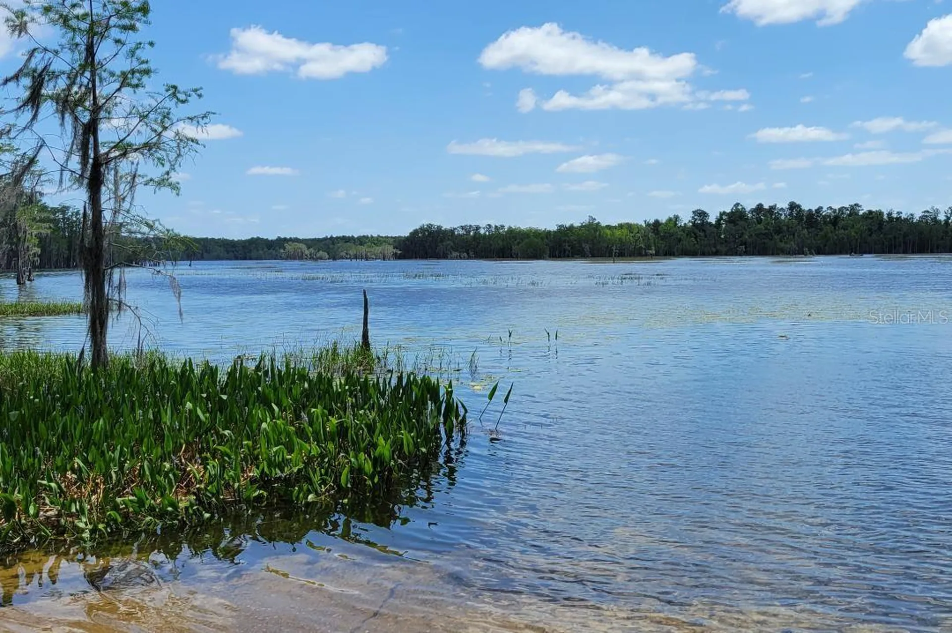 Lot 18 Unit 1 Blk 6 Fusion Circle Chipley FL 32428