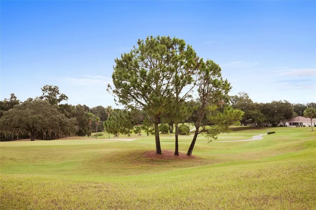 8516 SE 137th Loop Summerfield FL 34491