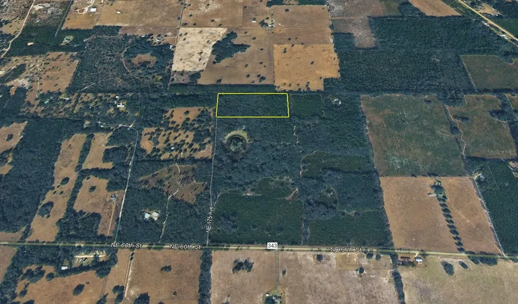 Tbd NE 175th Avenue Williston FL 32696